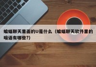 蝙蝠聊天里面的U是什么（蝙蝠聊天软件里的暗语有哪些?）