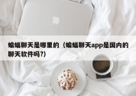 蝙蝠聊天是哪里的（蝙蝠聊天app是国内的聊天软件吗?）