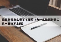 蝙蝠聊天怎么看不了图片（为什么蝙蝠聊天工具一直连不上网）