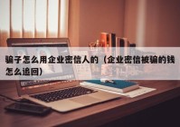 骗子怎么用企业密信人的（企业密信被骗的钱怎么追回）