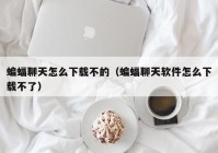 蝙蝠聊天怎么下载不的（蝙蝠聊天软件怎么下载不了）