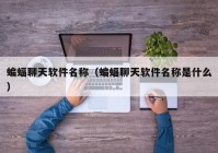 蝙蝠聊天软件名称（蝙蝠聊天软件名称是什么）