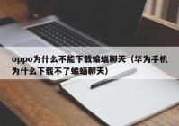 oppo为什么不能下载蝙蝠聊天（华为手机为什么下载不了蝙蝠聊天）