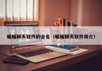 蝙蝠聊天软件的全名（蝙蝠聊天软件简介）