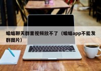 蝙蝠聊天群里视频放不了（蝙蝠app不能发群图片）
