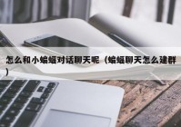 怎么和小蝙蝠对话聊天呢（蝙蝠聊天怎么建群）
